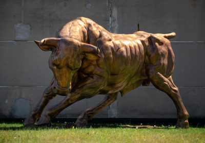 Lamborghini Bull